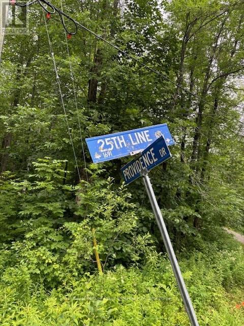 Lot 70 25th Line, Algonquin Highlands (Stanhope), Ontario  K0M 1J1 - Photo 6 - X12221525