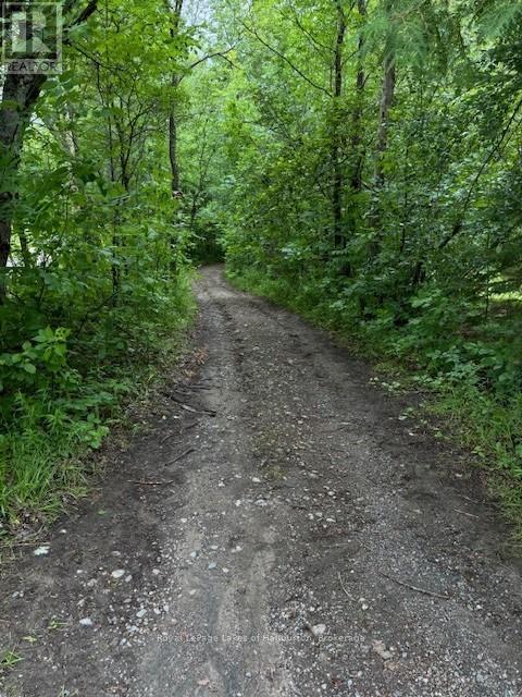 Lot 70 25th Line, Algonquin Highlands (Stanhope), Ontario  K0M 1J1 - Photo 8 - X12221525