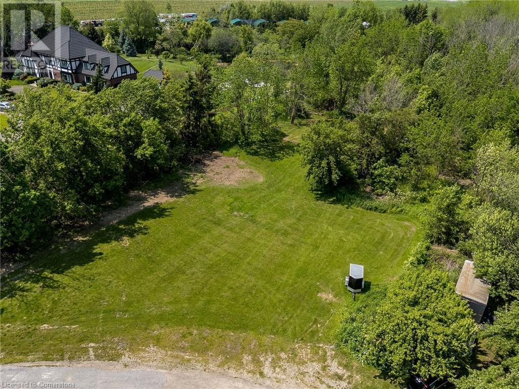 4613 North Service Road, Beamsville, Ontario  L0R 1B1 - Photo 7 - 40741409