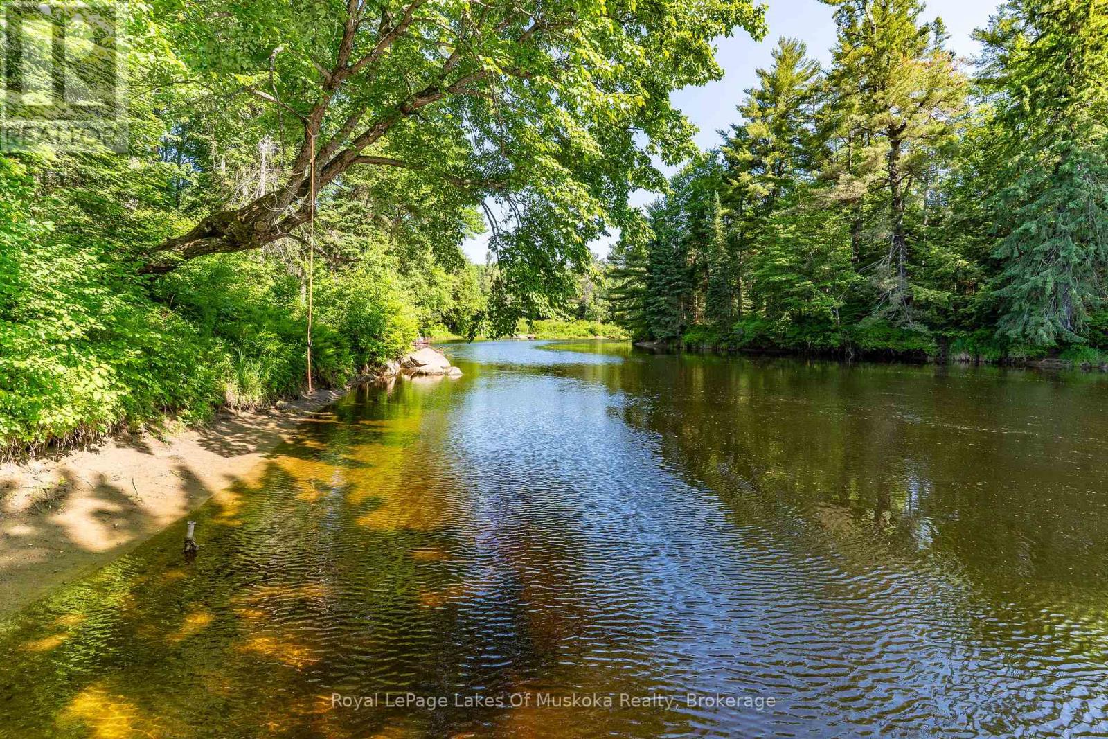171 River Valley Drive, Huntsville, Ontario  P0B 1L0 - Photo 5 - X12145296