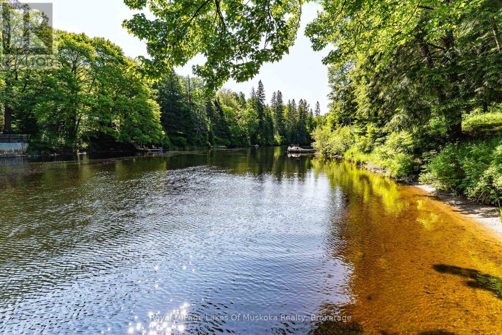 171 River Valley Drive, Huntsville, Ontario  P0B 1L0 - Photo 4 - X12145296