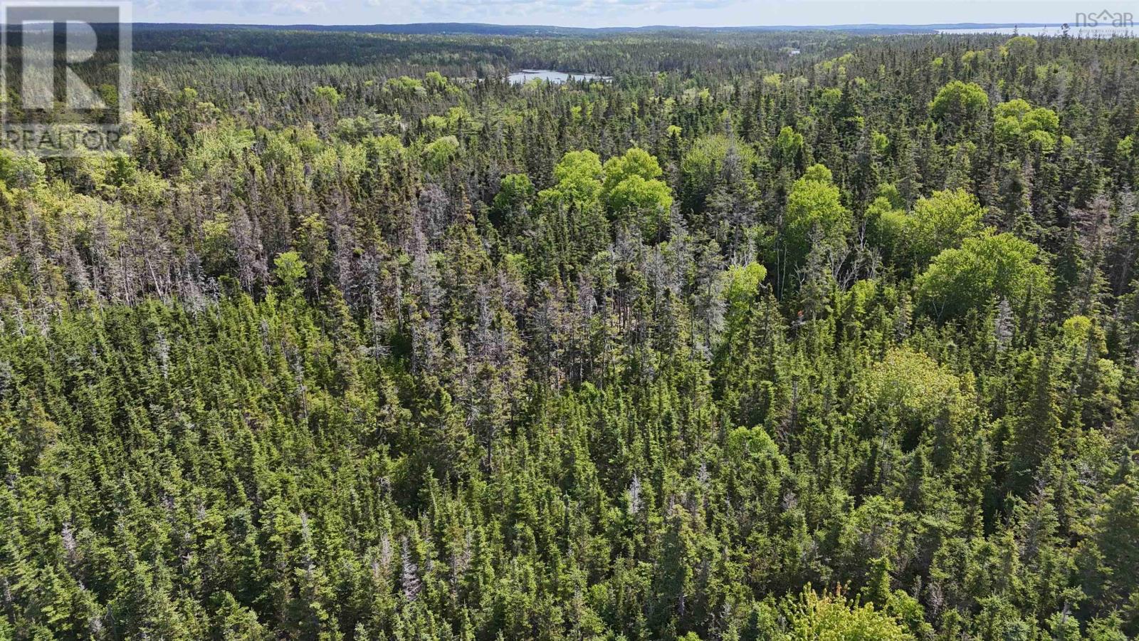 Lot 18 Mariner Way, South River Bourgeois, Nova Scotia  B0E 2X0 - Photo 22 - 202514666