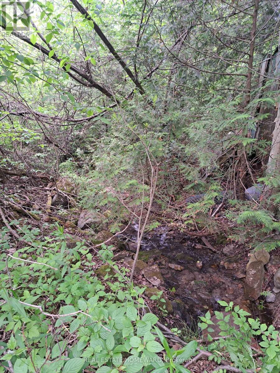 280 Stoco Road, Tweed (Hungerford (Twp)), Ontario  K0K 3J0 - Photo 16 - X12173974