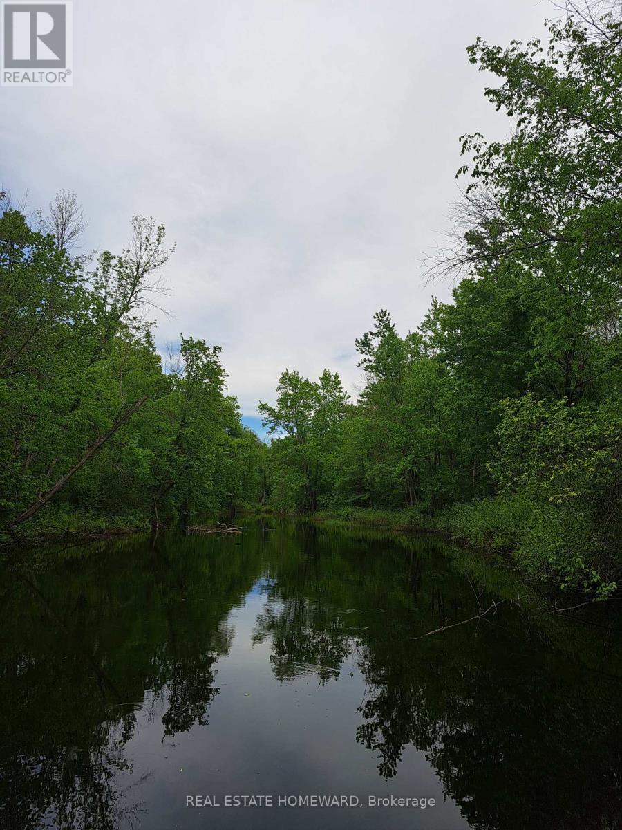 280 Stoco Road, Tweed (Hungerford (Twp)), Ontario  K0K 3J0 - Photo 13 - X12173974
