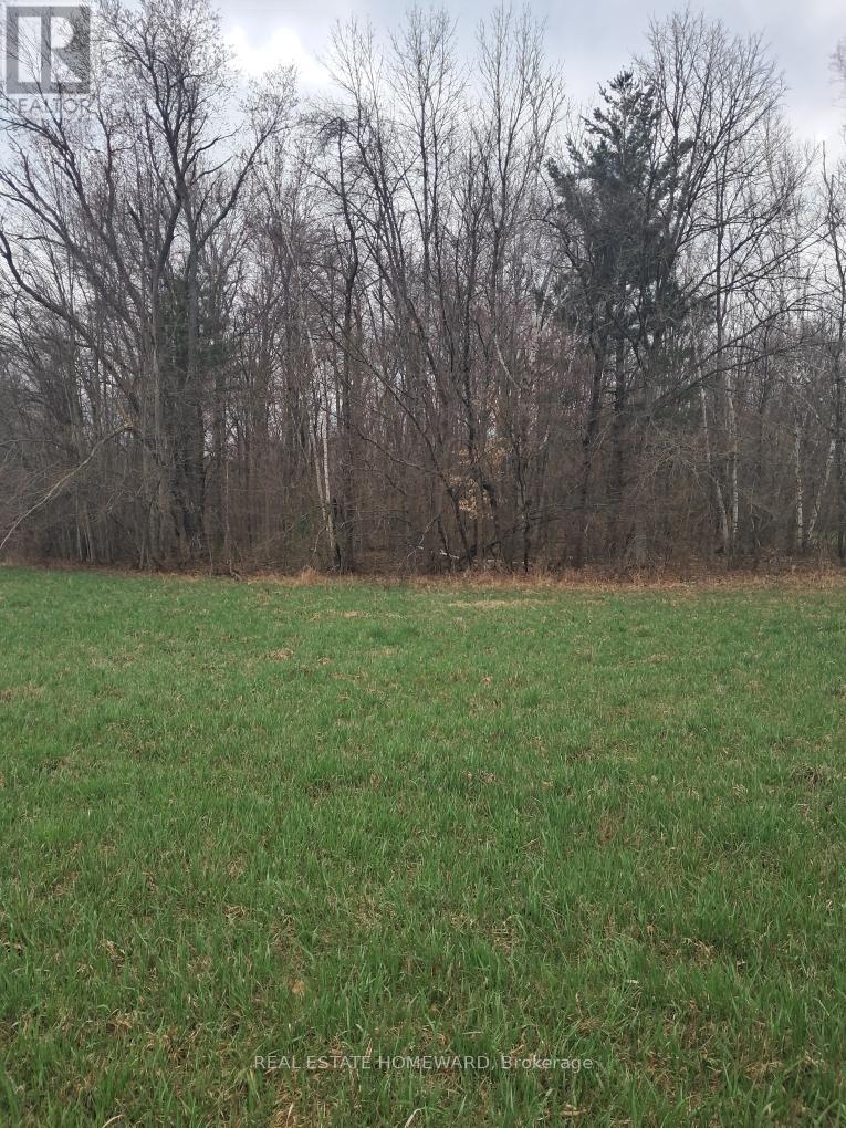 280 Stoco Road, Tweed (Hungerford (Twp)), Ontario  K0K 3J0 - Photo 20 - X12173974