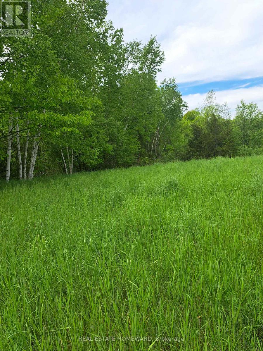 280 Stoco Road, Tweed (Hungerford (Twp)), Ontario  K0K 3J0 - Photo 19 - X12173974