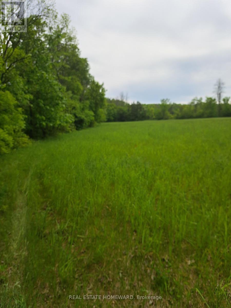 280 Stoco Road, Tweed (Hungerford (Twp)), Ontario  K0K 3J0 - Photo 26 - X12173974
