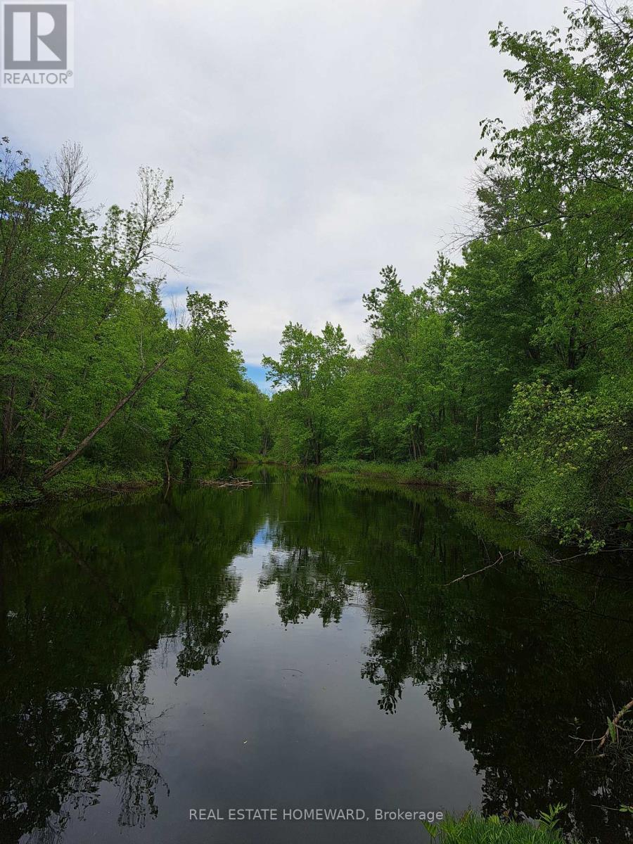 280 Stoco Road, Tweed (Hungerford (Twp)), Ontario  K0K 3J0 - Photo 30 - X12173974