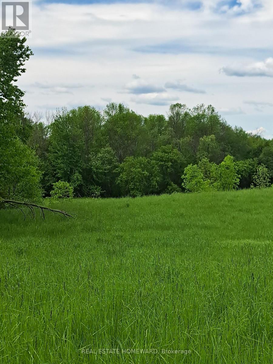 280 Stoco Road, Tweed (Hungerford (Twp)), Ontario  K0K 3J0 - Photo 5 - X12173974