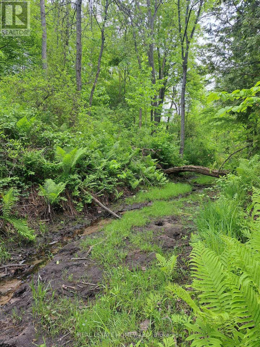 280 Stoco Road, Tweed (Hungerford (Twp)), Ontario  K0K 3J0 - Photo 9 - X12173974