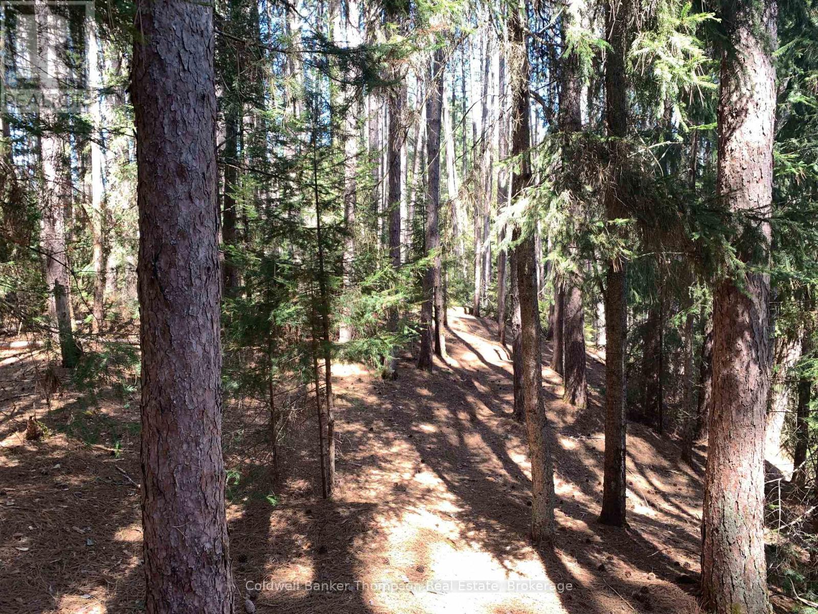 322 Sterling Falls Road, Strong, Ontario  P0A 1Z0 - Photo 10 - X12221789