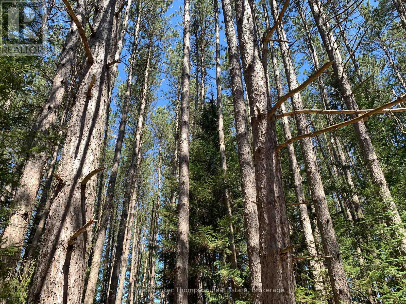 322 Sterling Falls Road, Strong, Ontario  P0A 1Z0 - Photo 11 - X12221789