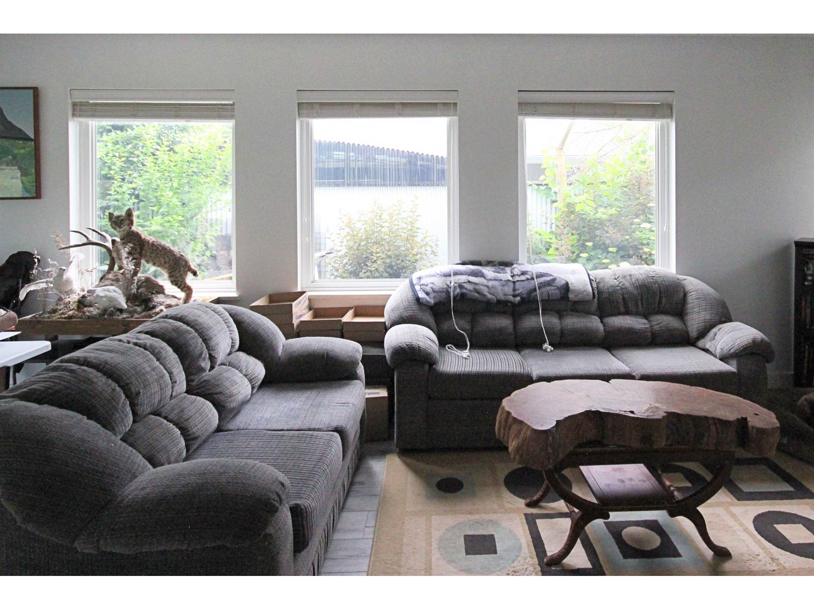 34740 3rd Avenue, Abbotsford, British Columbia  V2S 8B9 - Photo 6 - R2937812