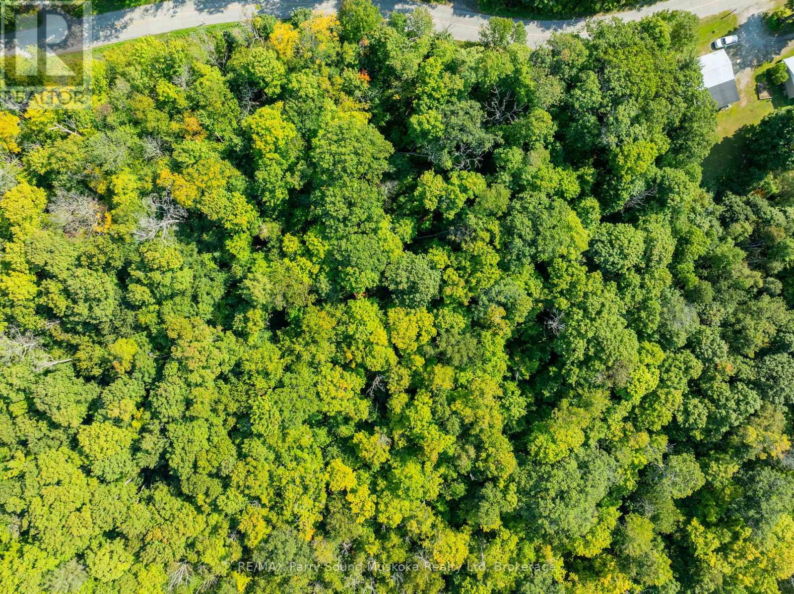 14 Burnside Bridge Road, Mcdougall, Ontario  P2A 2W9 - Photo 23 - X12221865