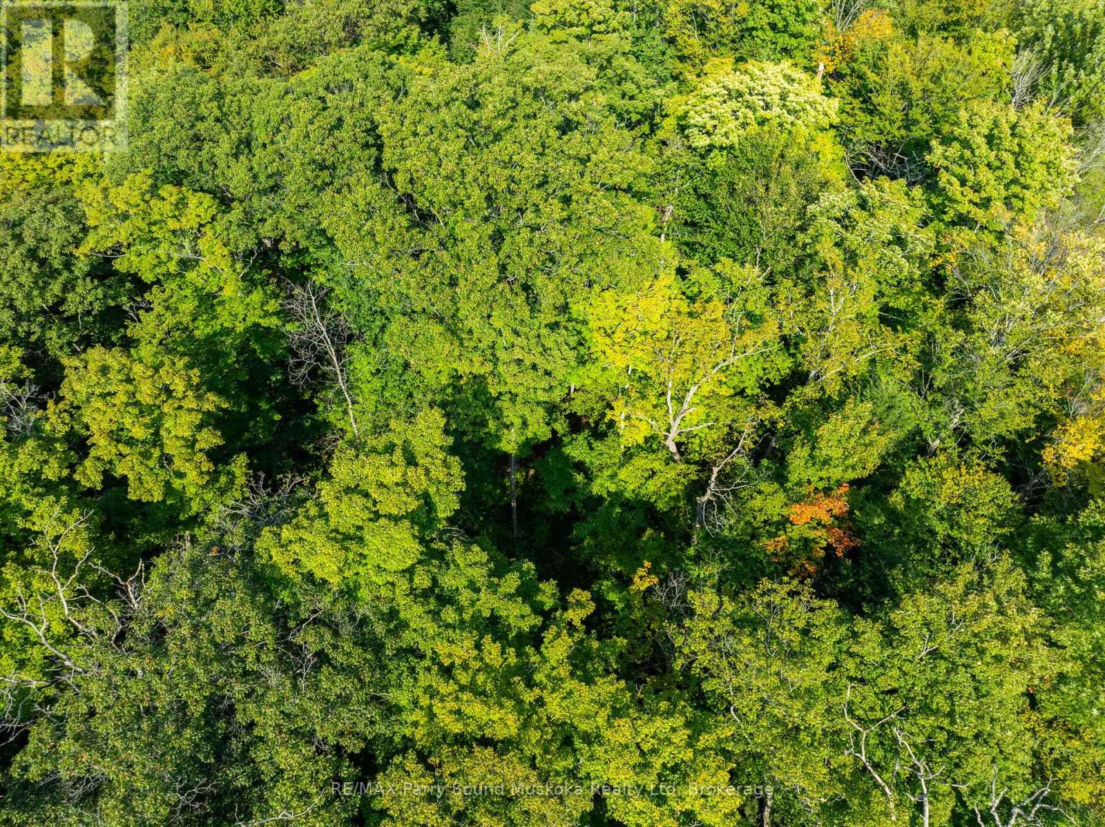 14 Burnside Bridge Road, Mcdougall, Ontario  P2A 2W9 - Photo 8 - X12221865