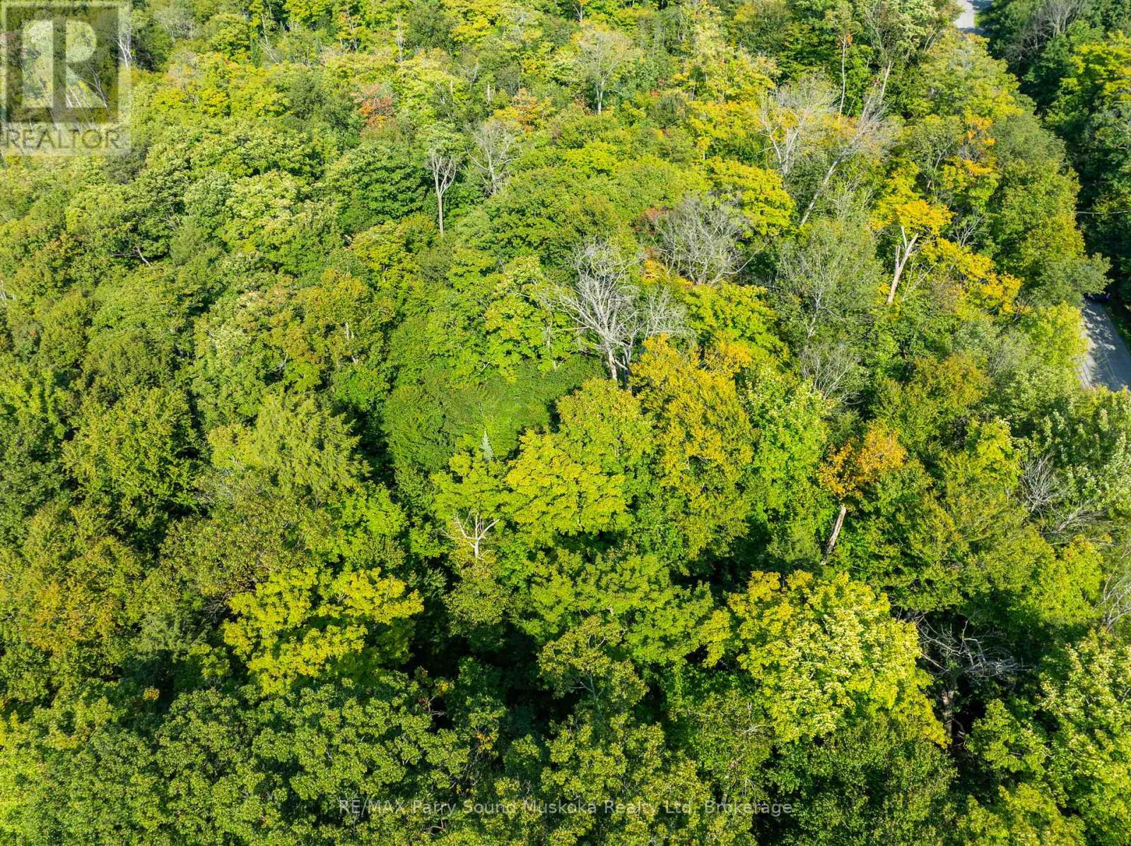 14 Burnside Bridge Road, Mcdougall, Ontario  P2A 2W9 - Photo 9 - X12221865