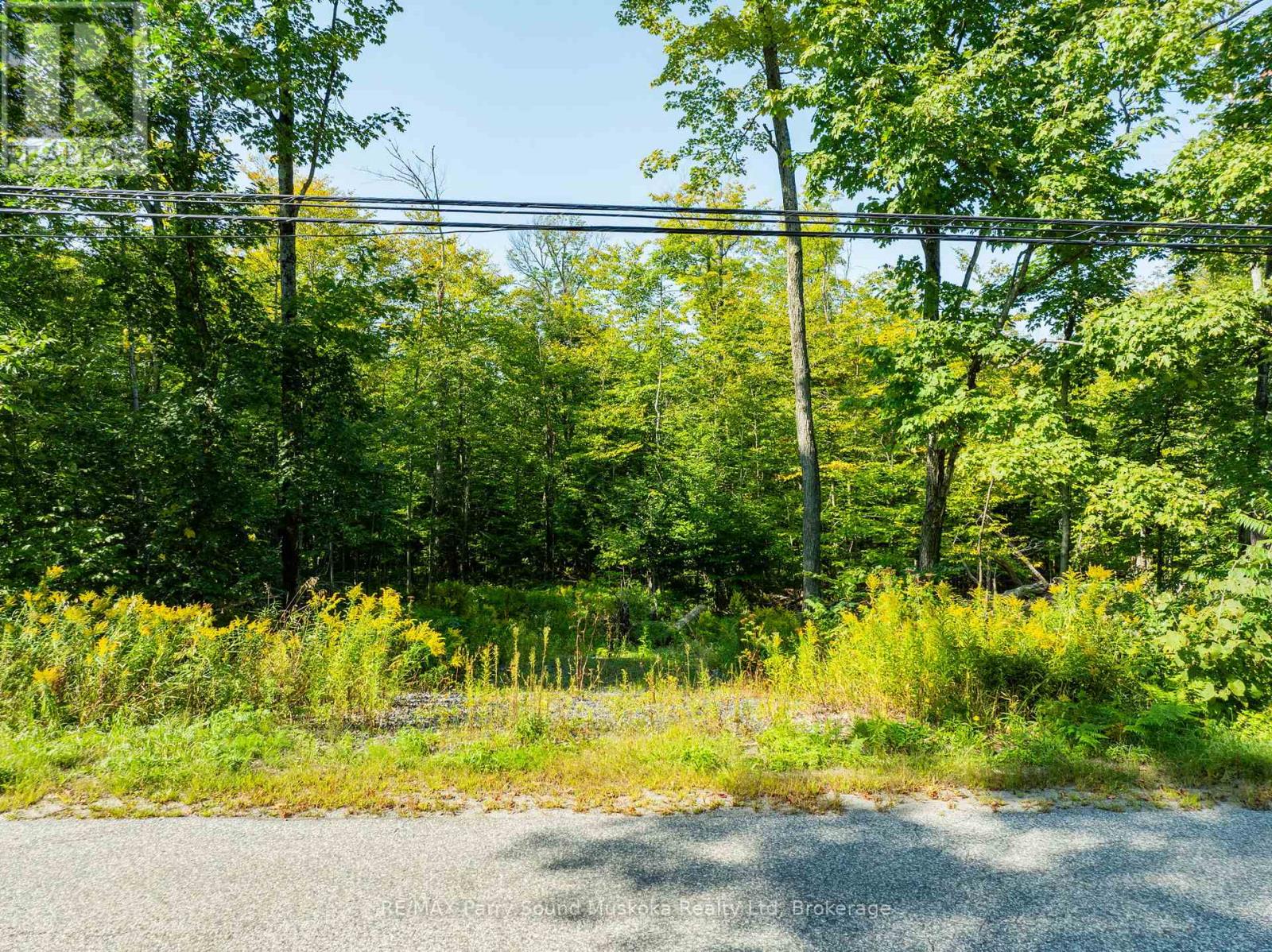 18 Burnside Bridge Road, Mcdougall, Ontario  P2A 2W9 - Photo 15 - X12221870