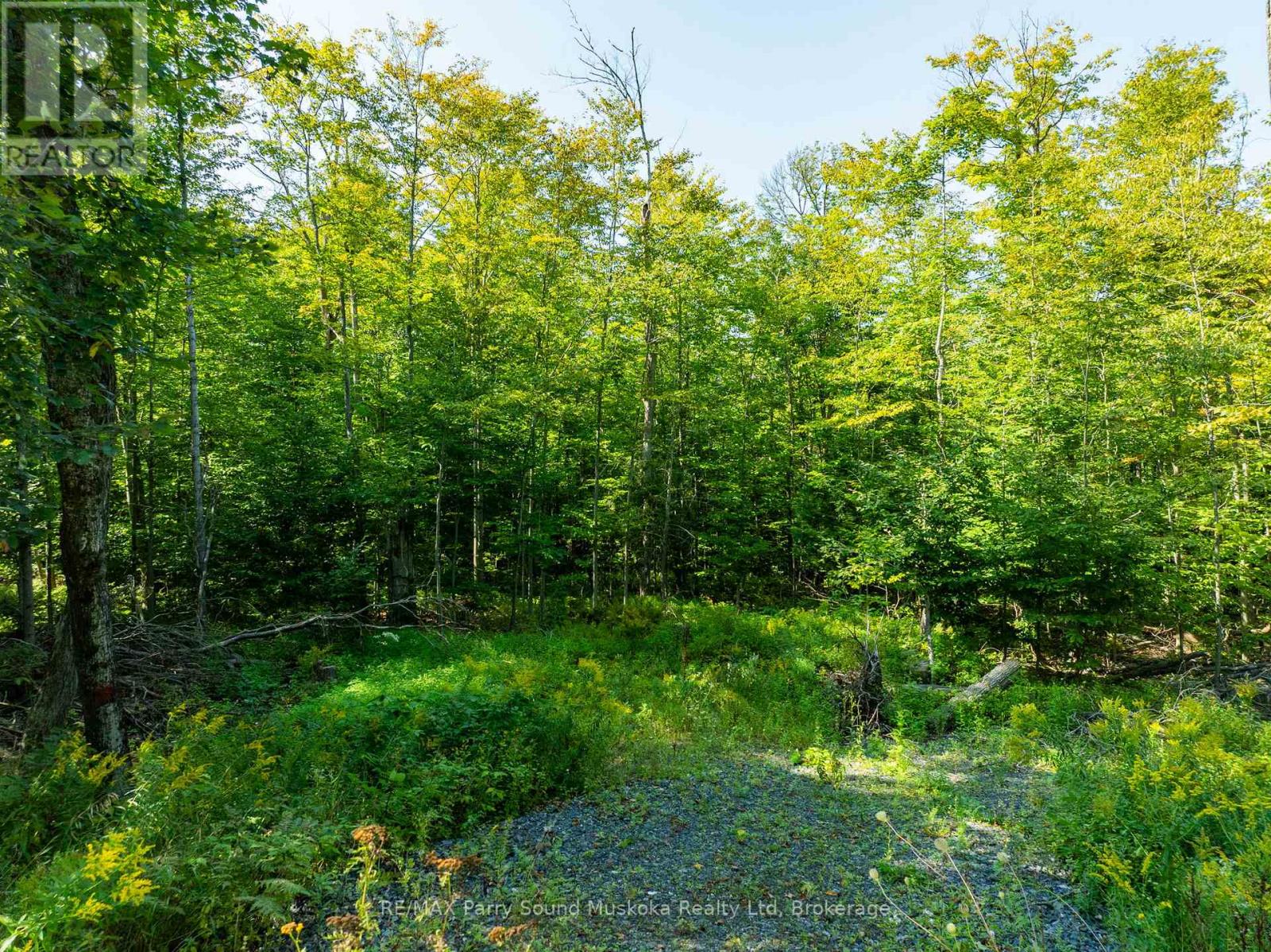 18 Burnside Bridge Road, Mcdougall, Ontario  P2A 2W9 - Photo 16 - X12221870