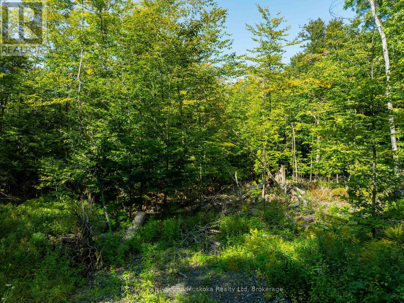 18 Burnside Bridge Road, Mcdougall, Ontario  P2A 2W9 - Photo 17 - X12221870