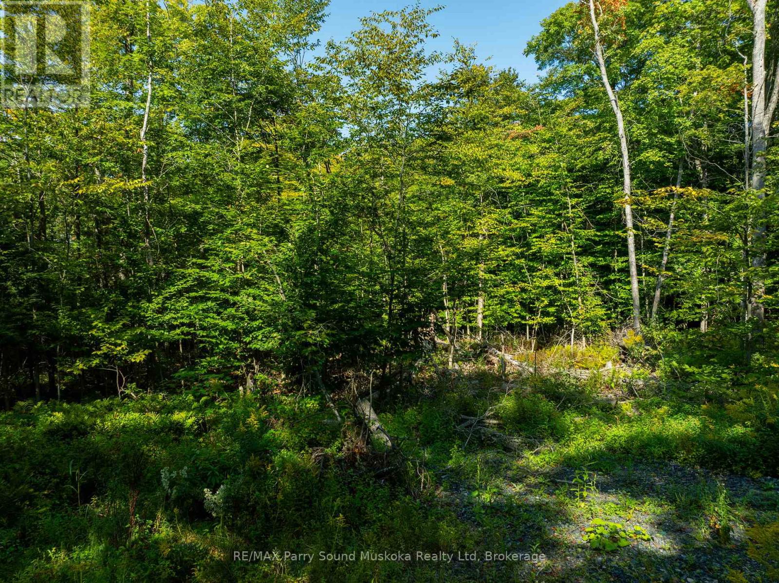 18 Burnside Bridge Road, Mcdougall, Ontario  P2A 2W9 - Photo 18 - X12221870