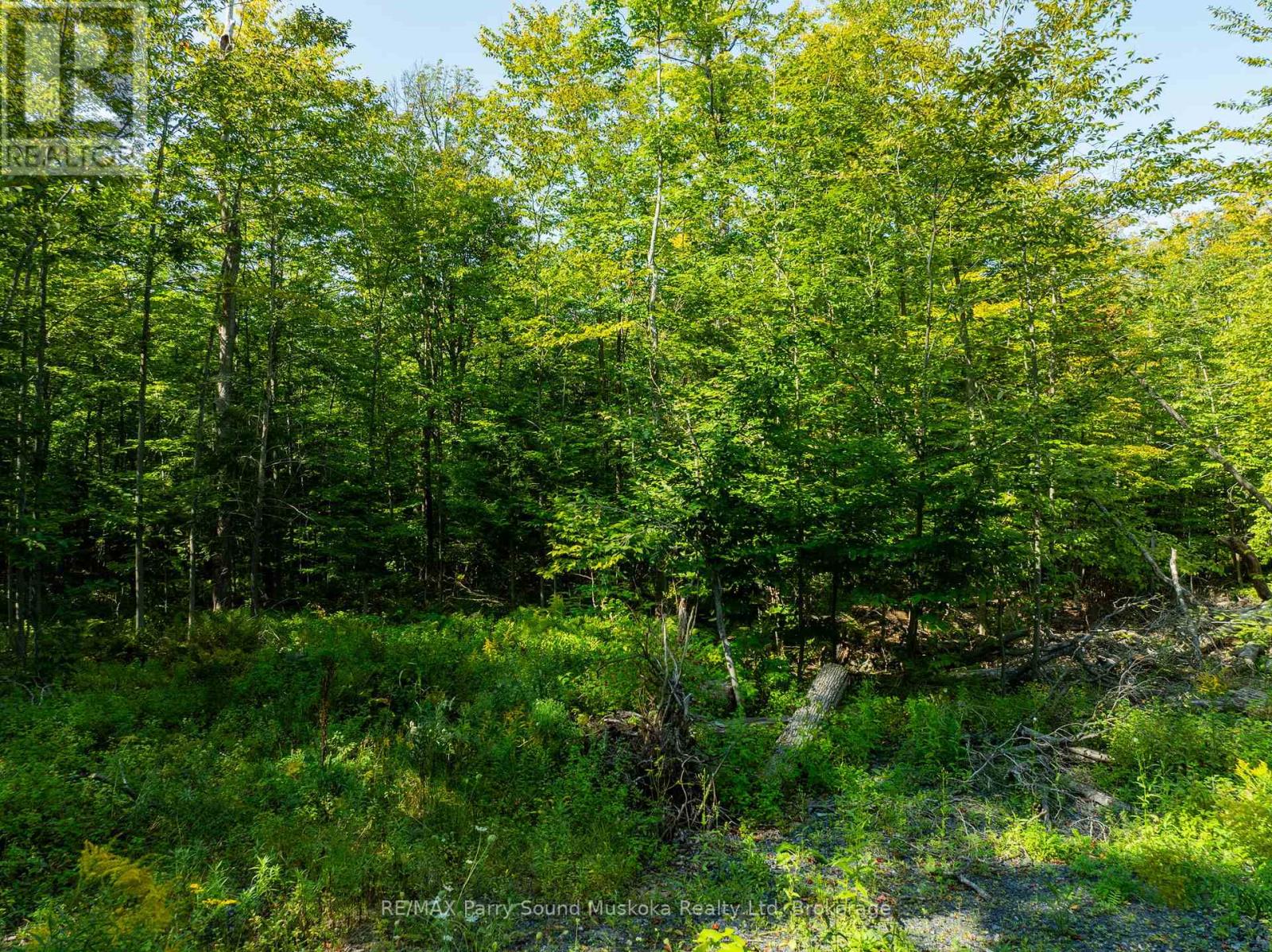 18 Burnside Bridge Road, Mcdougall, Ontario  P2A 2W9 - Photo 3 - X12221870