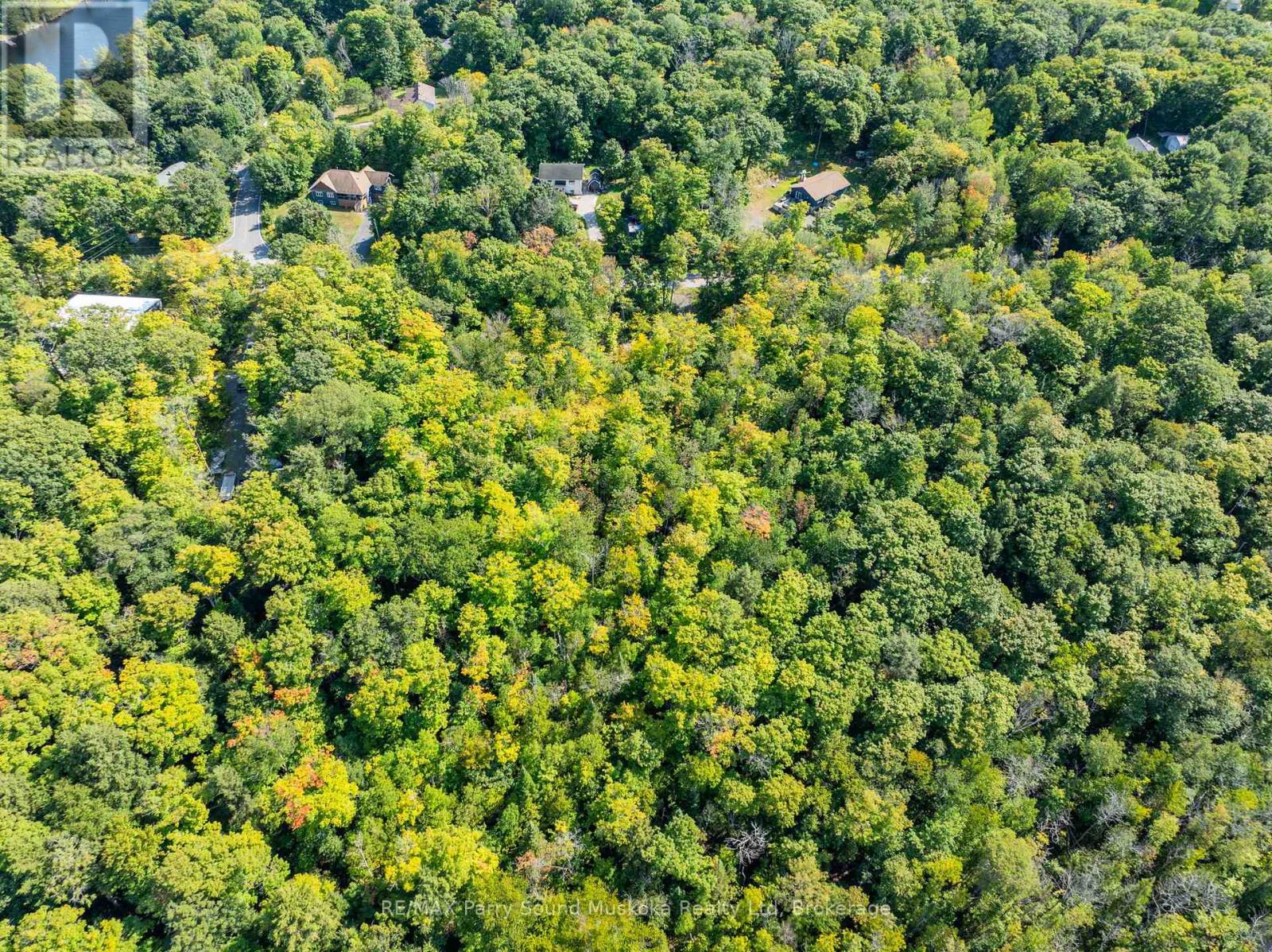 18 Burnside Bridge Road, Mcdougall, Ontario  P2A 2W9 - Photo 4 - X12221870