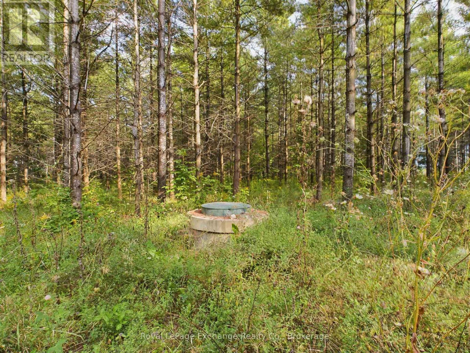 502265 Concession 10 Ndr Concession, West Grey, Ontario  N0G 1S0 - Photo 7 - X12221997
