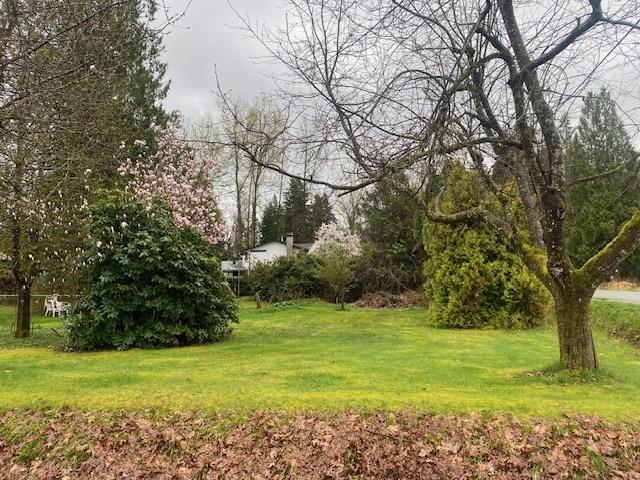 Property at 32614 LAMINMAN AVENUE image 4