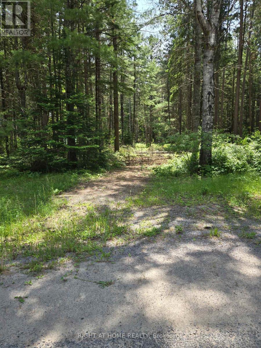 66 GINZA STREET, greater madawaska, Ontario