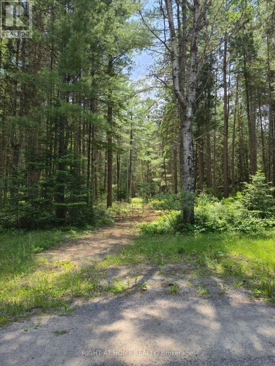 66 Ginza Street, Greater Madawaska, Ontario  K0J 2R0 - Photo 11 - X12222368