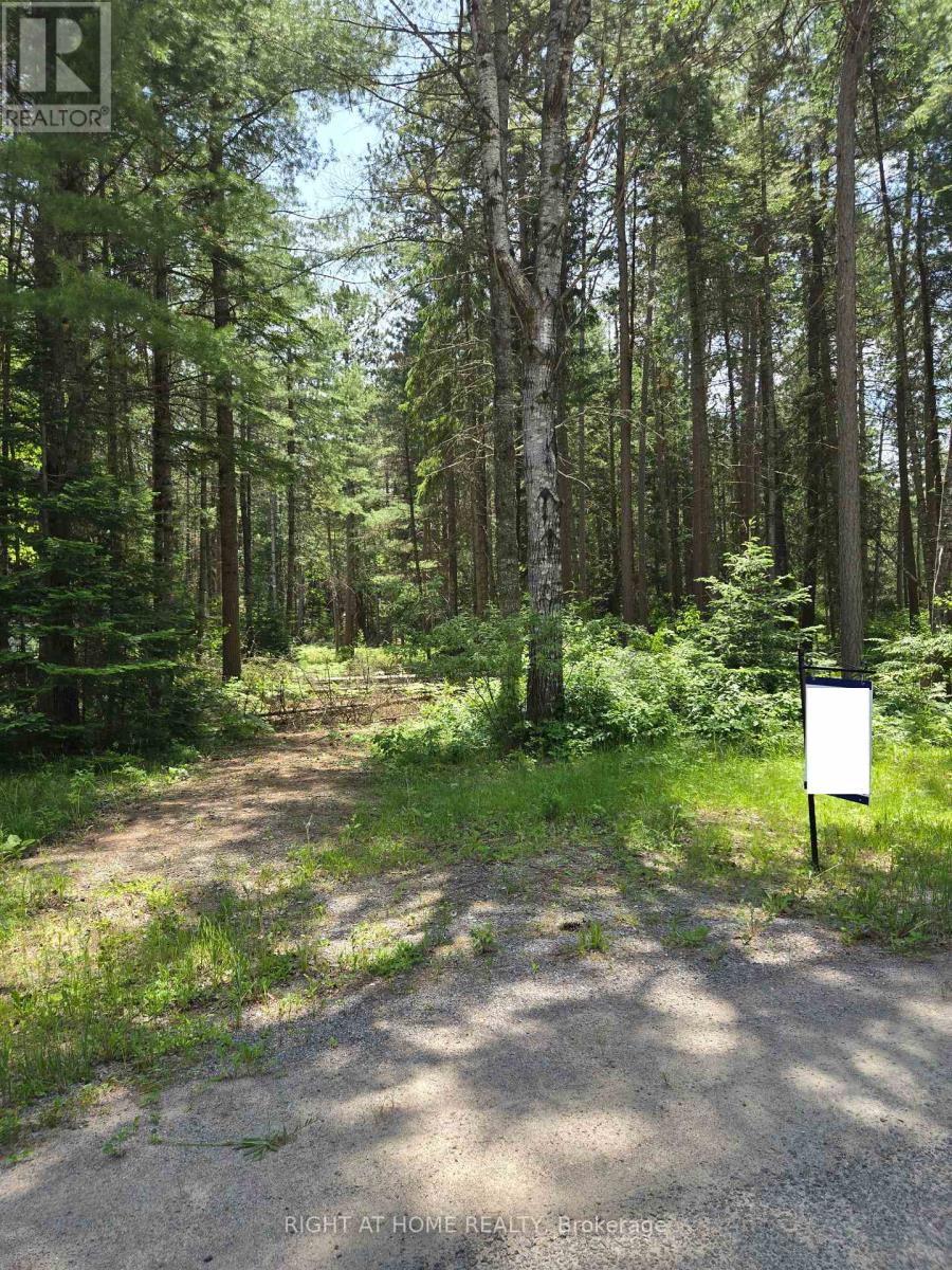 66 Ginza Street, Greater Madawaska, Ontario  K0J 2R0 - Photo 2 - X12222368