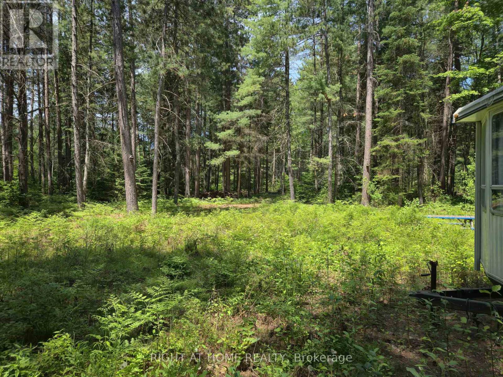 66 Ginza Street, Greater Madawaska, Ontario  K0J 2R0 - Photo 4 - X12222368