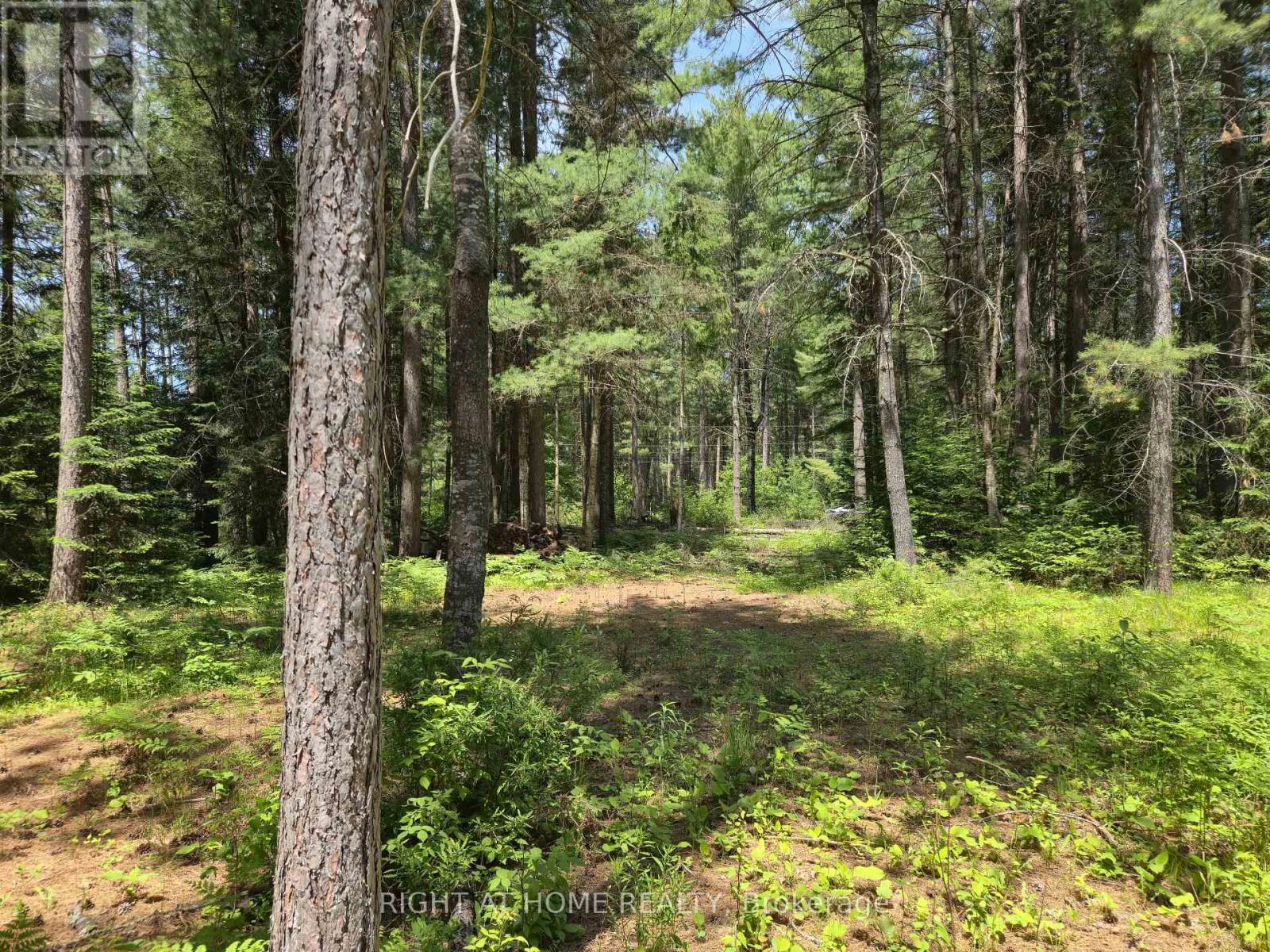 66 Ginza Street, Greater Madawaska, Ontario  K0J 2R0 - Photo 5 - X12222368