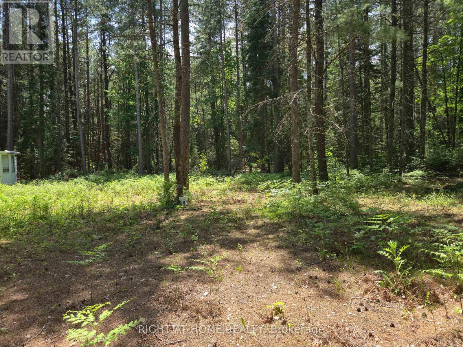 66 Ginza Street, Greater Madawaska, Ontario  K0J 2R0 - Photo 6 - X12222368