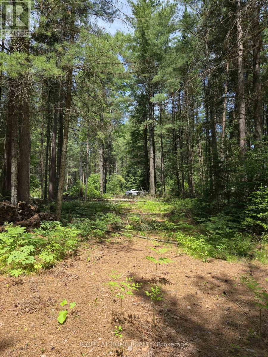 66 Ginza Street, Greater Madawaska, Ontario  K0J 2R0 - Photo 9 - X12222368