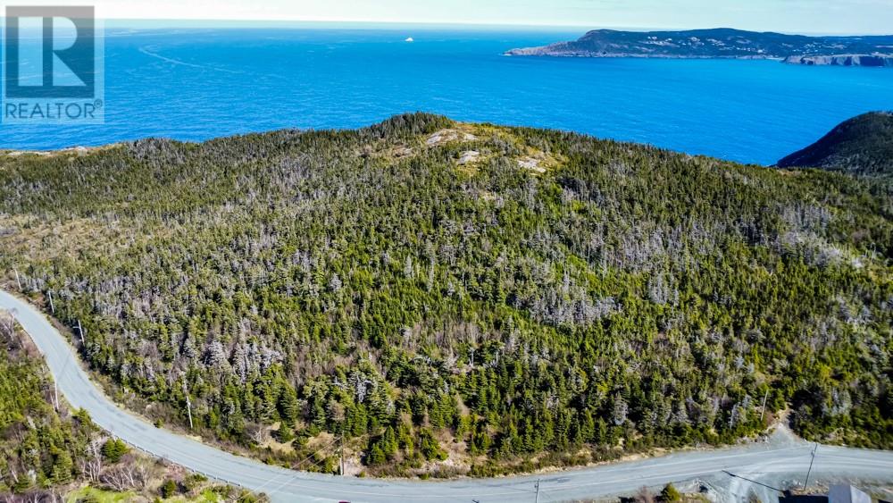 000 Windgap Road, Flatrock, Newfoundland & Labrador  A1k 1C3 - Photo 3 - 1286482