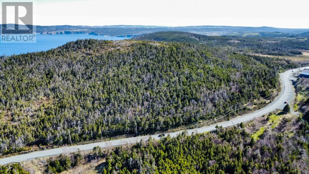 000 Windgap Road, Flatrock, Newfoundland & Labrador  A1k 1C3 - Photo 4 - 1286482