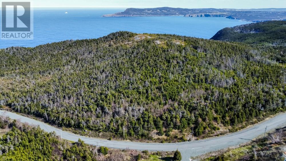 000 Windgap Road, Flatrock, Newfoundland & Labrador  A1k 1C3 - Photo 5 - 1286482
