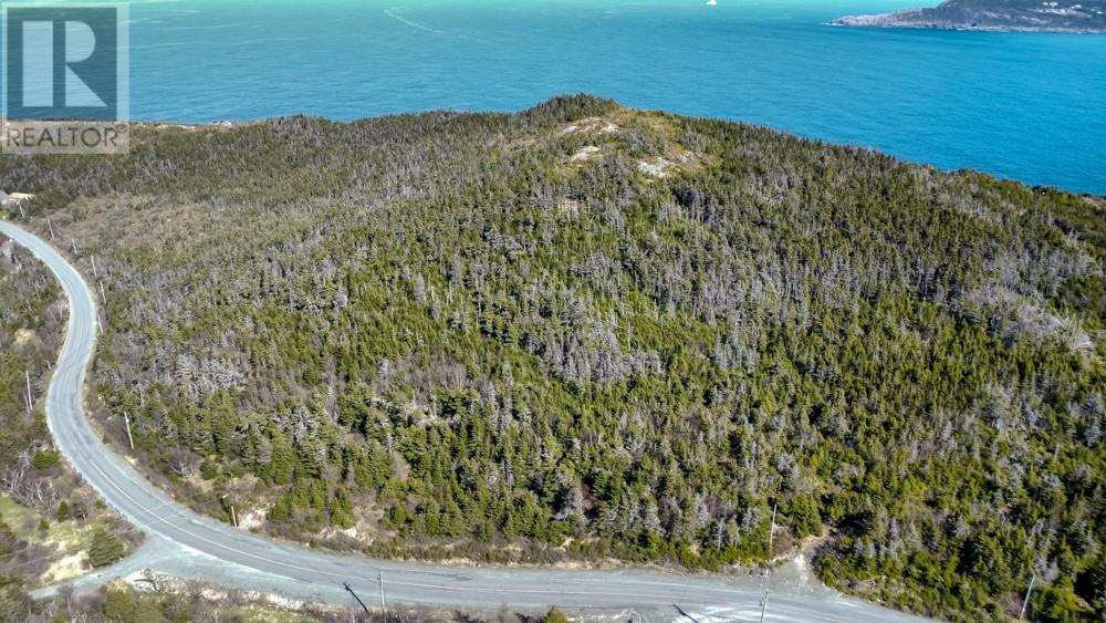 000 Windgap Road, Flatrock, Newfoundland & Labrador  A1k 1C3 - Photo 6 - 1286482