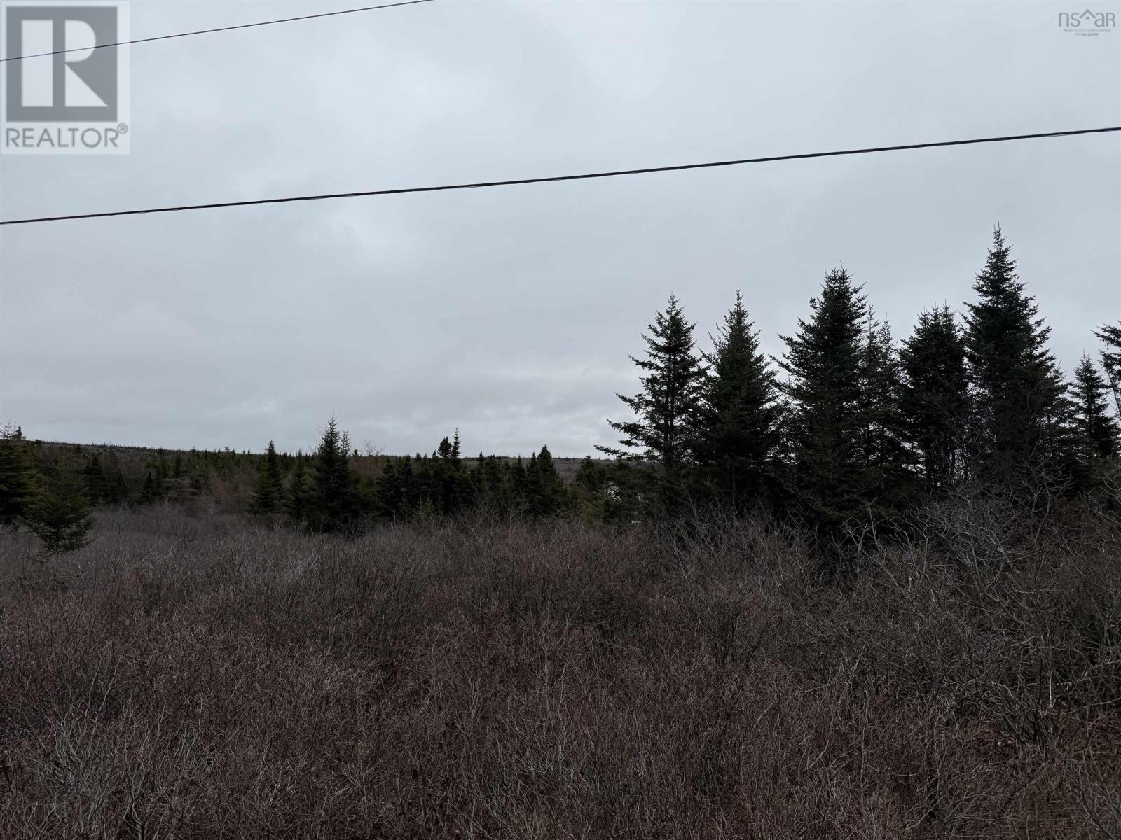 Georges Road, Upper Whitehead, Nova Scotia  B0H 1T0 - Photo 3 - 202509404
