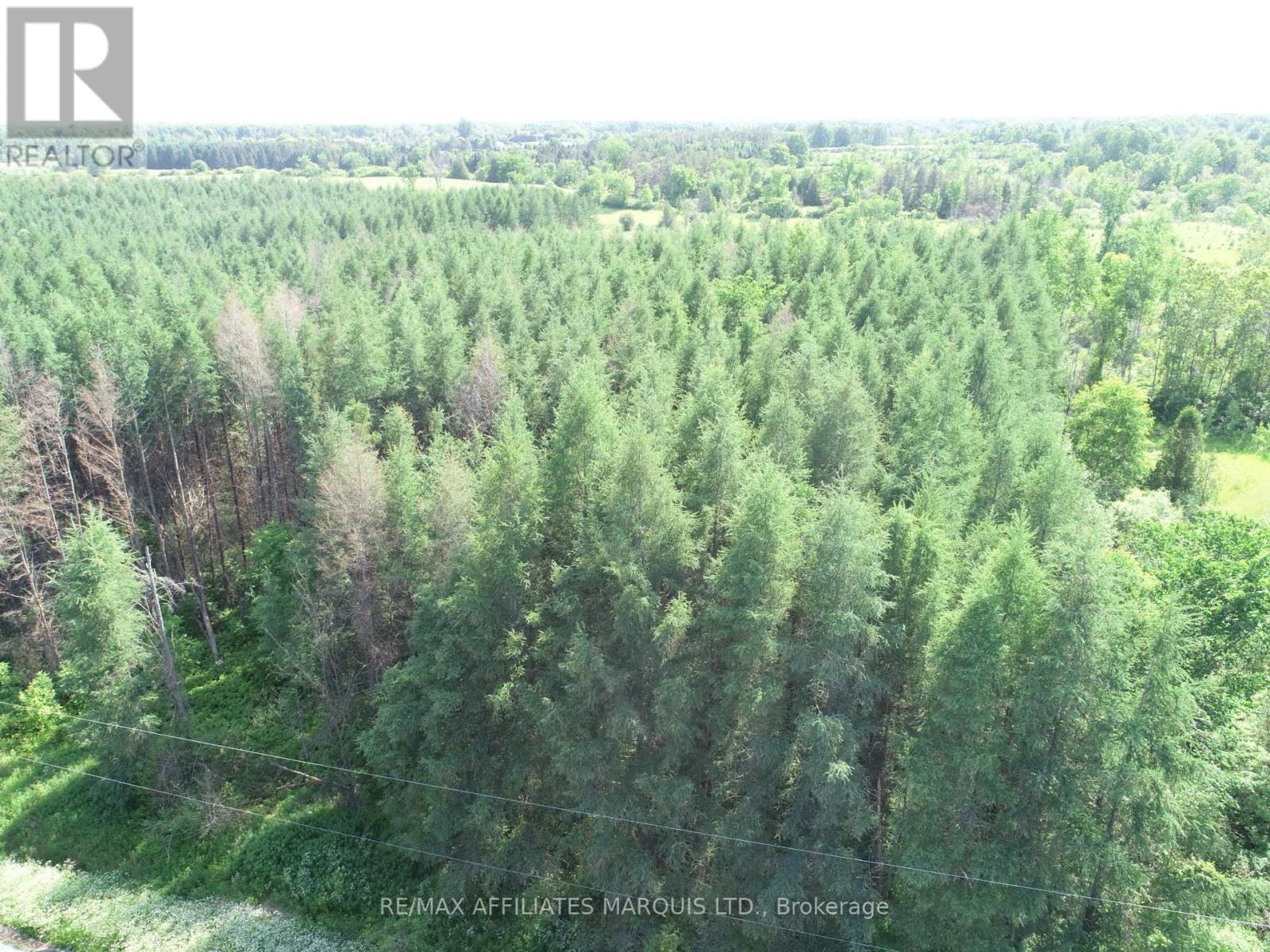 Lot Dornie Road, North Glengarry, Ontario  K0C 1A0 - Photo 6 - X12222438