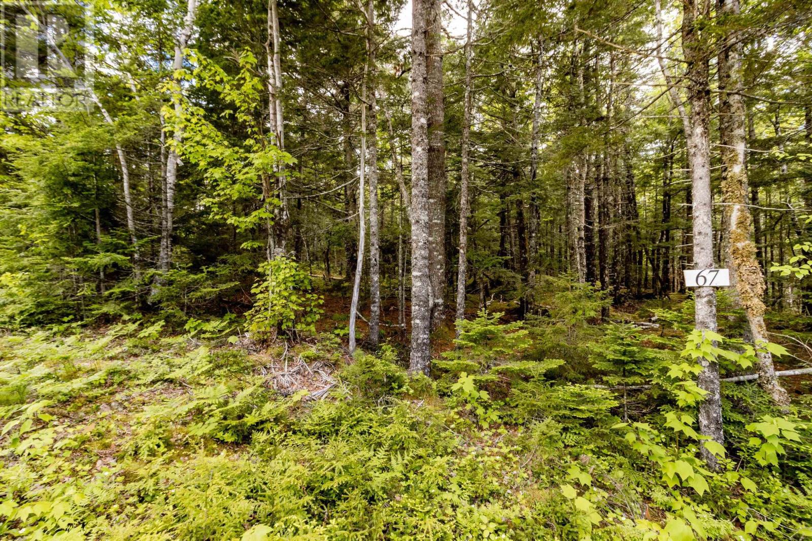 Lot 67 White Tail Pass, Vaughan, Nova Scotia  B0N 2T0 - Photo 1 - 202505349