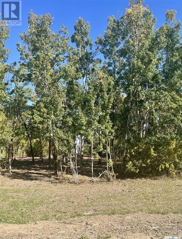 Lot 3 Shady Bay Drive, Meeting Lake, Saskatchewan  S0M 2L0 - Photo 3 - SK007077