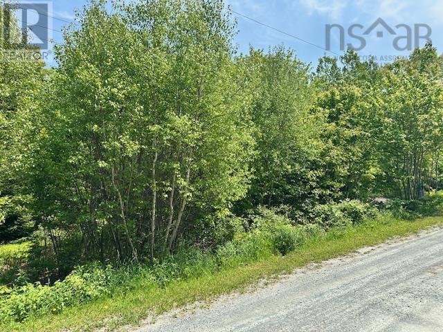 Lot Pid#70088083 North Street, Brooklyn, Nova Scotia  B0J 1H0 - Photo 1 - 202428383