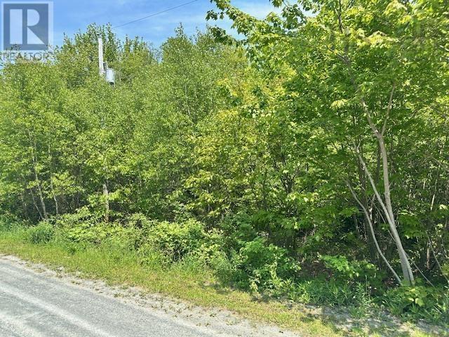Lot Pid#70088083 North Street, Brooklyn, Nova Scotia  B0J 1H0 - Photo 2 - 202428383
