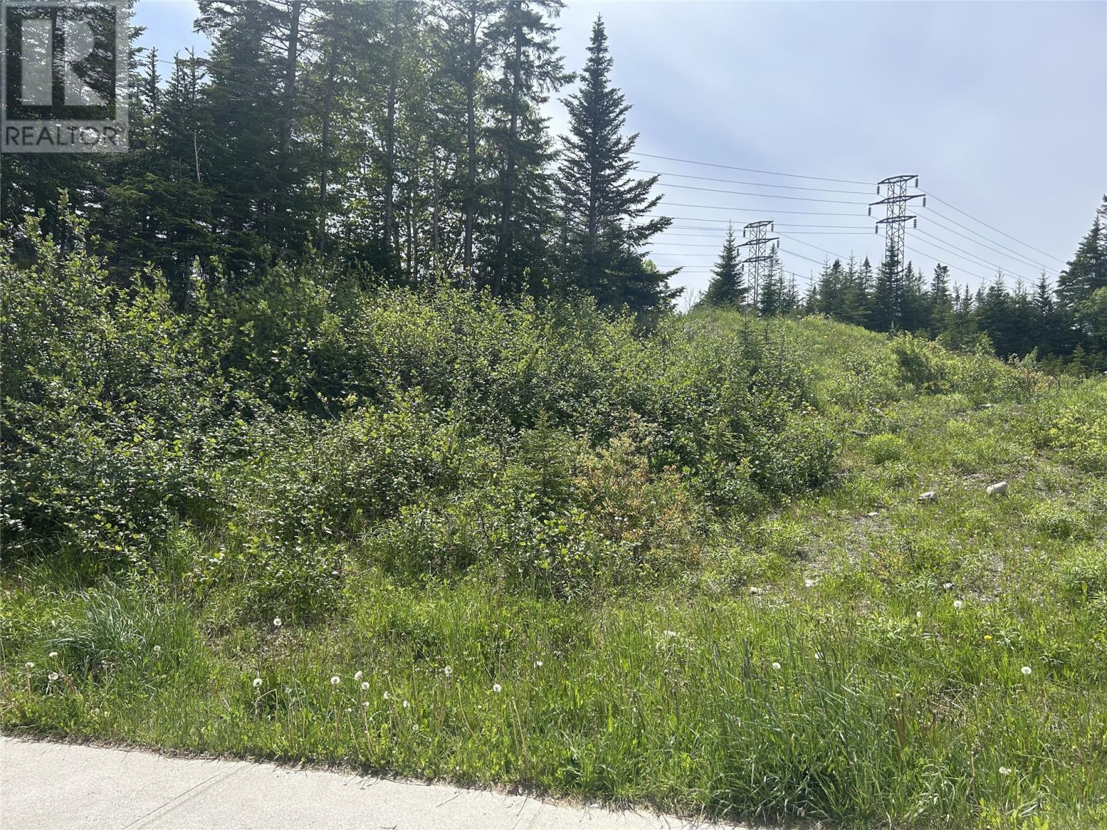 196 Massey Drive, Massey Drive, Newfoundland & Labrador