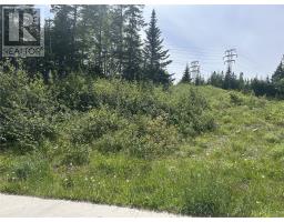 196 Massey Drive, Massey Drive, Newfoundland & Labrador