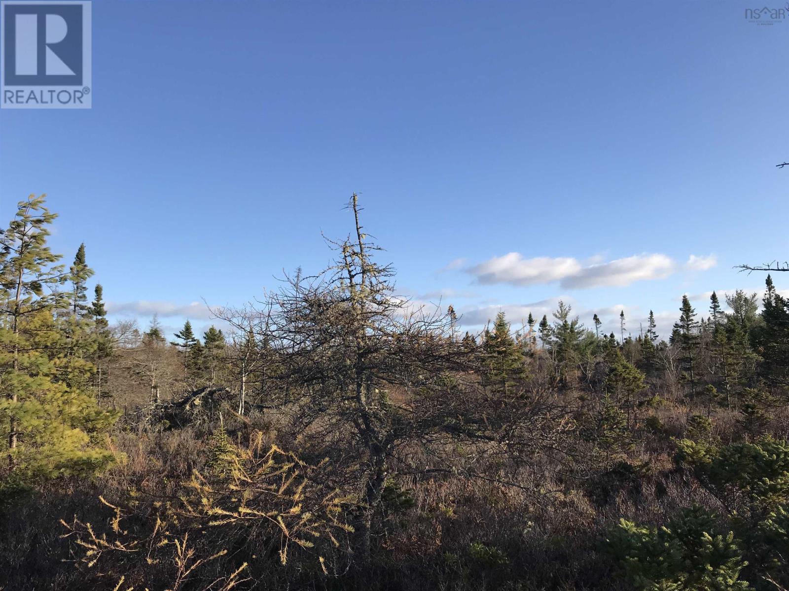 104-5 (R-104) Long Cove Road, Port Medway, Nova Scotia  B0J 2T0 - Photo 8 - 202427511