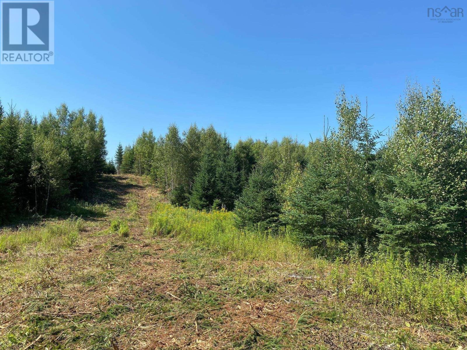 226 Brookville Branch Road, Bridgeville, Nova Scotia  B2H 5C7 - Photo 3 - 202227026