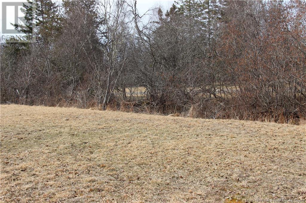 1-3584 127 Route, Bayside, New Brunswick  E5B 2V3 - Photo 21 - NB116006